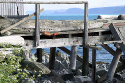 [#397] brygga, tr�, hav, vatten