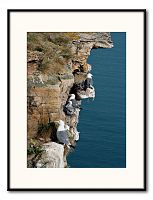 [#596] Tret&aring;ig m&aring;s II.