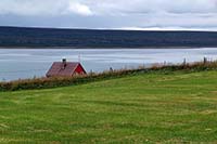 [#4224s] r�tt hus, gr�nt gr�s, sluttning, fjord, vatten, vik