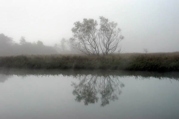 [#972] Nordre &auml;lv i dimma