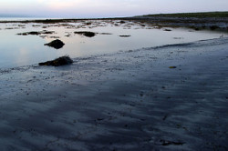 [#526] Strand i skymningen, vatten, stenar, t�ng