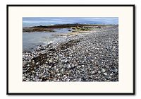 [#472] Stranden vid f&aring;gelfj&auml;llet, Ekker&ouml;y