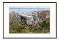 [#2303s] Minilandskap