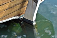 [#1681s] segelskuta, segelfartyg, akter, roder, spegling, gr�nt vatten, maneter, siktdjup