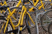 [#671h] gula cyklar, gul cykel, svart stnkskydd, ekrar, cykelstll