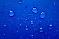 [#3731s] Vattendroppar, regndroppar, bl�, bl�tt, id�bild