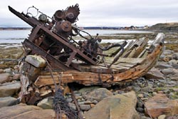 [#750] B�tskelett, vrak, fartygsvrak, spant, tr�, skorv, rost, id�bild