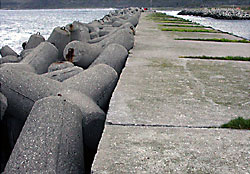 Berlev&aring;g - pir med tetrapoder