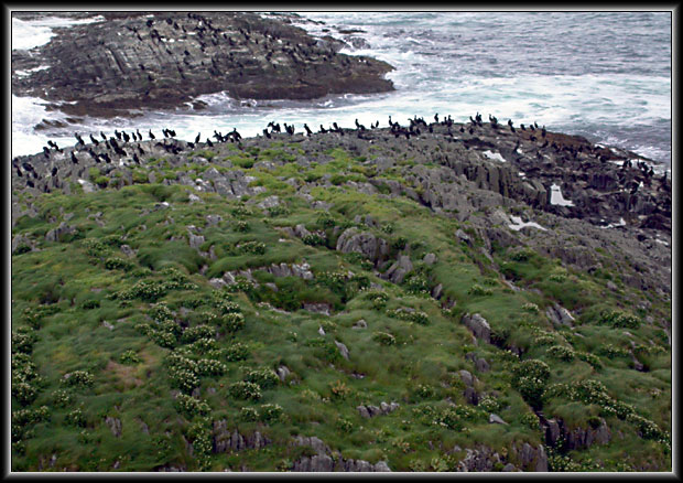 Nedanf&ouml;r Kj&ouml;lnes Fyr