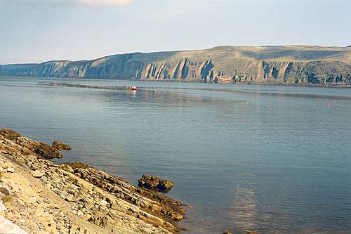 Btsfjord