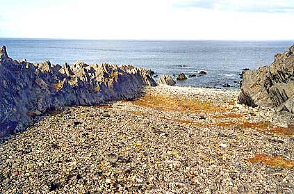 P� v�g till Hamningberg