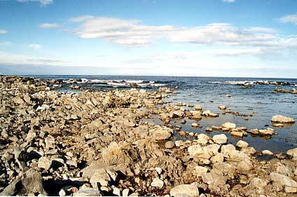 Utanf�r hamnen i Hamningberg