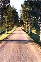 Pasvik - klicka för större bild